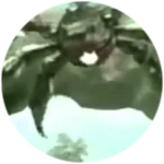 giantenemycrab