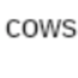 Cow hangout
