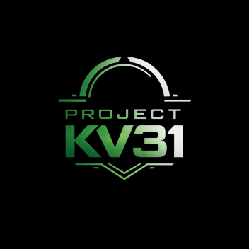 Project KV31