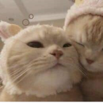 Bogart nd Friendss