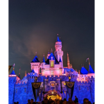 WE LOVE DISNEY!