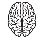 Kinetic Potential Organization