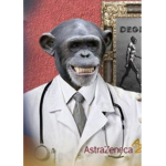 Russian military monkey