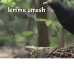 ;-; DONT SAY THIS NAME ALREADY TAKEN
