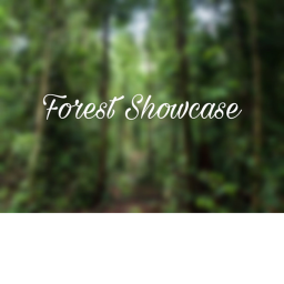 Basic Forest [showcase]