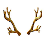 Owners Of Antler ®