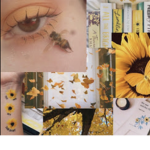 Honey Bee C: