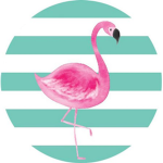 Flamingos aesthetic