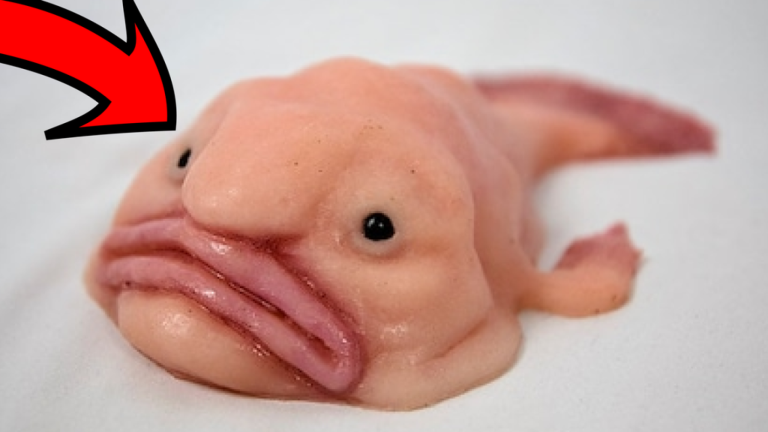 Be A Blob screenshot 3