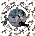 Running river equestrian