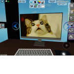 CATS CATS CATS RULE