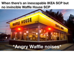 THE WAFFLE HOUSE DUDES