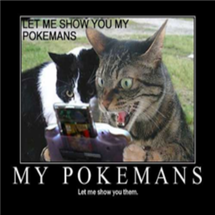 funny cats pokEMON Roblox decal