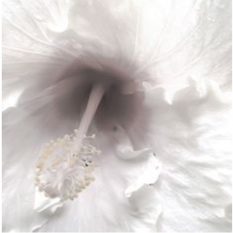 ❀