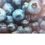 BlueBerrys Hate Club