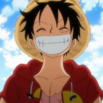 Sansi luffy