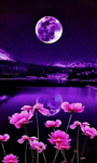Moon life..