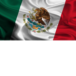 C.D.MX Cartel De Mexico