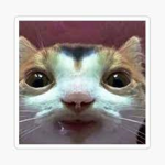 Your Text Here