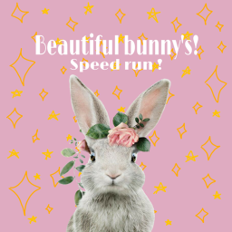 Beautiful bunny’s speed run