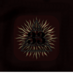 CIub 33