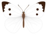 flora<3