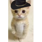 El Gato (Mexican version)