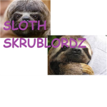 sloth skrublordz