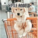 *-little angels-*