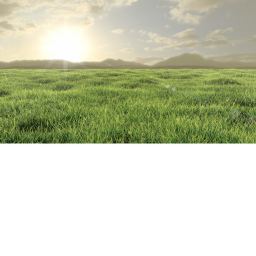 my only ever grassy fun