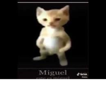 pana miguel fans