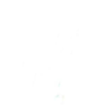 robux pal toch