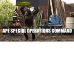 Ape Special Operations Command