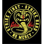 Cobra Kai training dojo