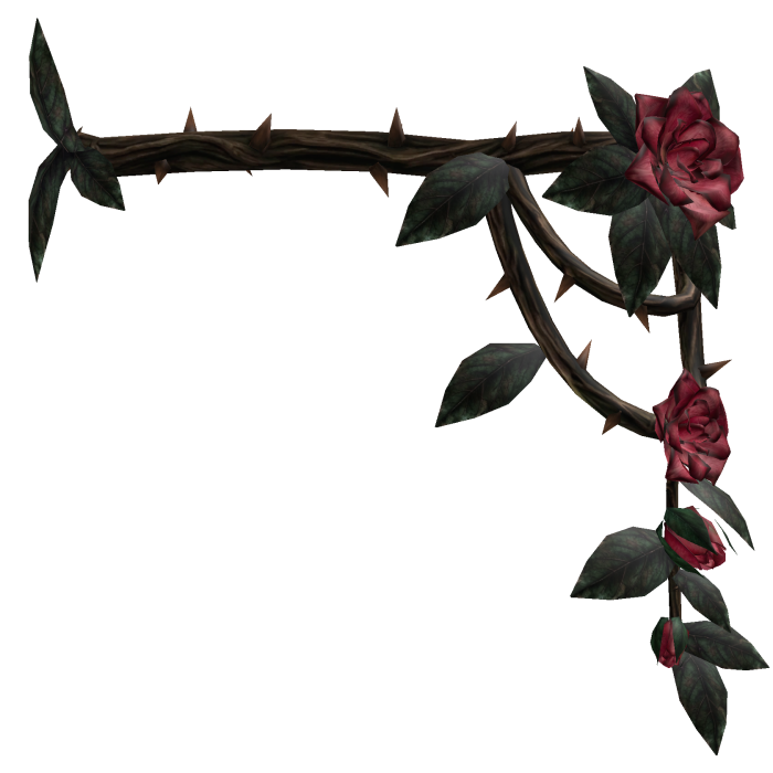 Rose Thorn Vine Waist - Black & Burgundy
