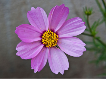 Unknown Error occured 124694 