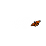 •VB• Army