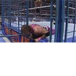PCW Pwnage Cage Wresting