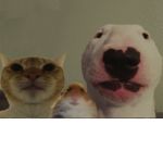 FortNite Clan