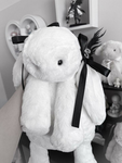 Swet bear