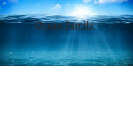 Ocean Family
