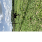 SARAH GGGG