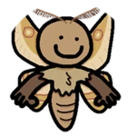 little moth