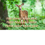Gods love never fails!