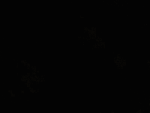 ScriptLabs