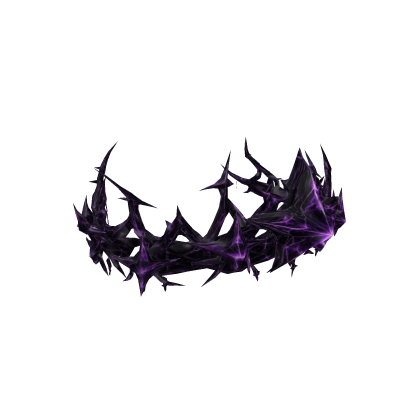 💜Purple Star Crown of Thorns💜