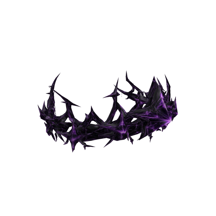 💜Purple Star Crown of Thorns💜
