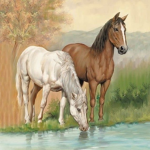 Horse tail riding academy