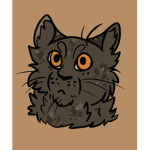 Caty club