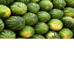 Its da group